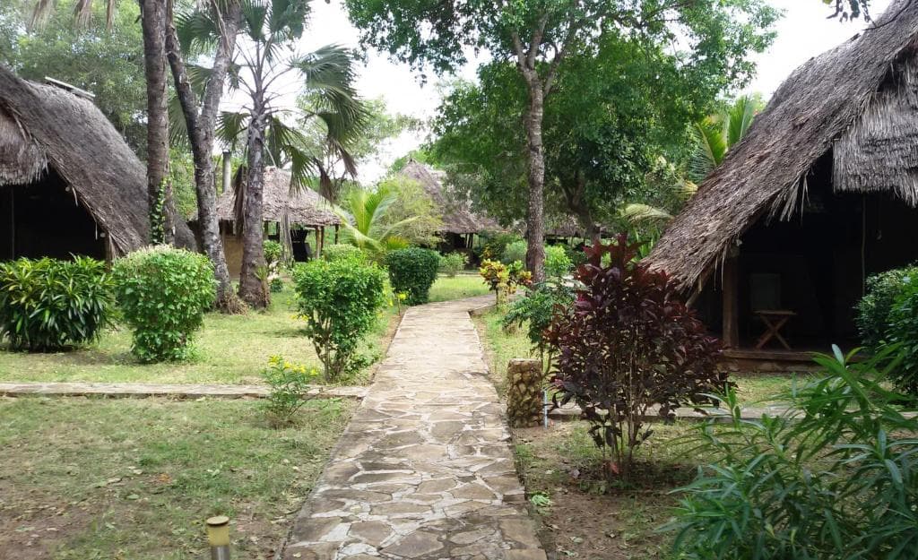 Beautiful surroundings of Pangani